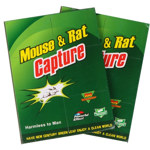 household mouse trap